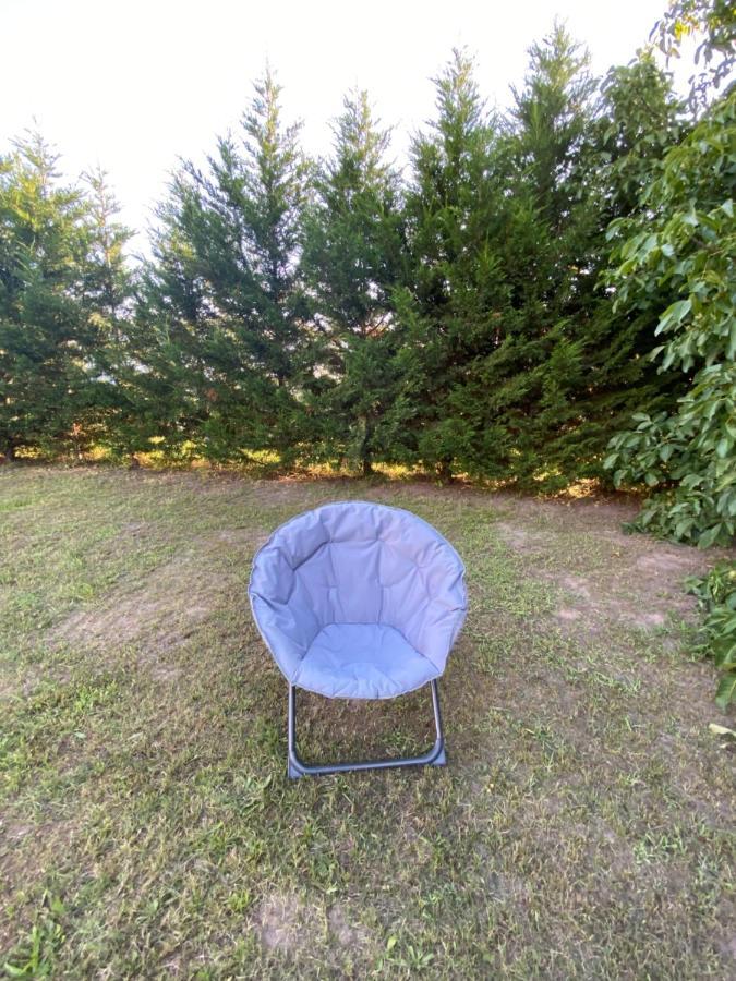 Au Paradis D'Alsace 55 M2 Nature & Relax Ingwiller المظهر الخارجي الصورة