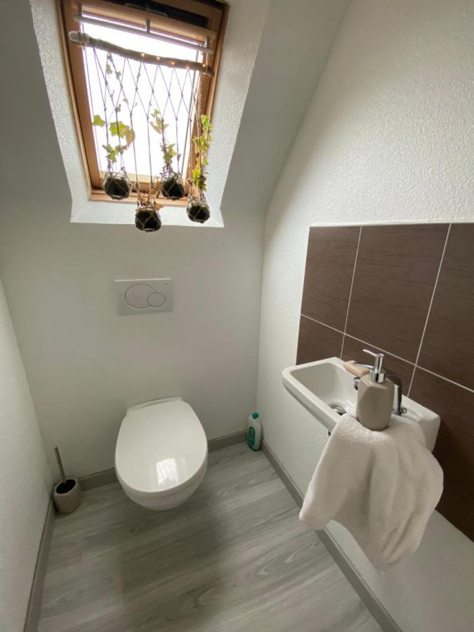 Au Paradis D'Alsace 55 M2 Nature & Relax Ingwiller المظهر الخارجي الصورة