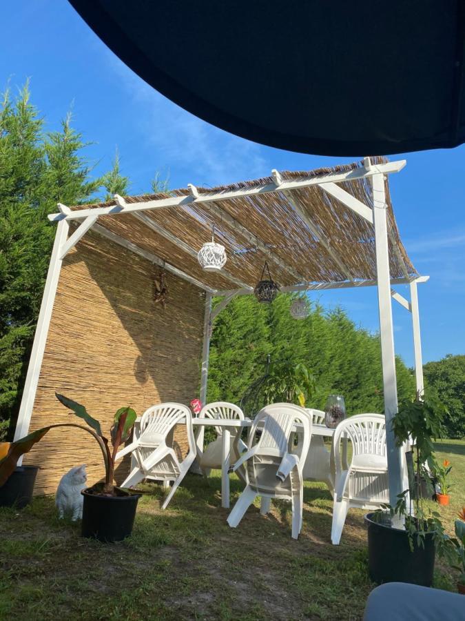 Au Paradis D'Alsace 55 M2 Nature & Relax Ingwiller المظهر الخارجي الصورة