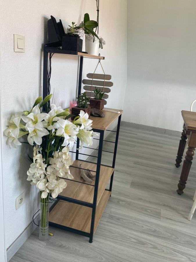 Au Paradis D'Alsace 55 M2 Nature & Relax Ingwiller المظهر الخارجي الصورة