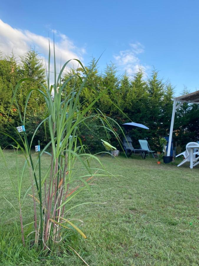 Au Paradis D'Alsace 55 M2 Nature & Relax Ingwiller المظهر الخارجي الصورة